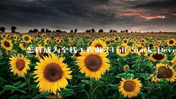 怎样成为全栈工程师（Full Stack Developer）？