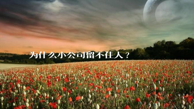为什么小公司留不住人?