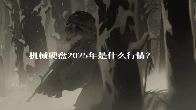 机械硬盘2025年是什么行情？