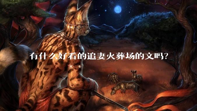 有什么好看的追妻火葬场的文吗？