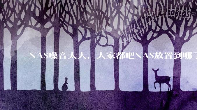 NAS噪音太大，大家都吧NAS放置到哪了？