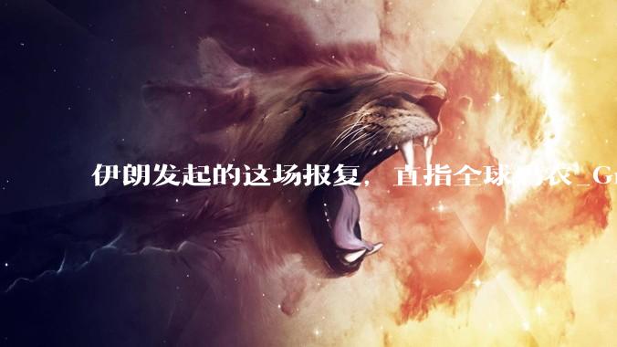伊朗发起的这场报复，直指全球码农_Grok_中东_人工智能
