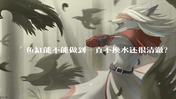 鱼缸能不能做到一直不换水还很清澈？