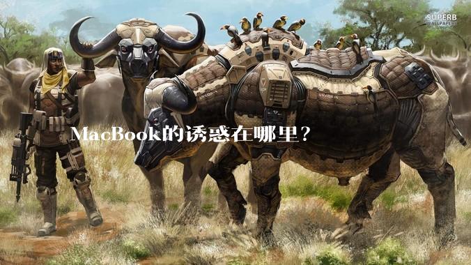 MacBook的诱惑在哪里？