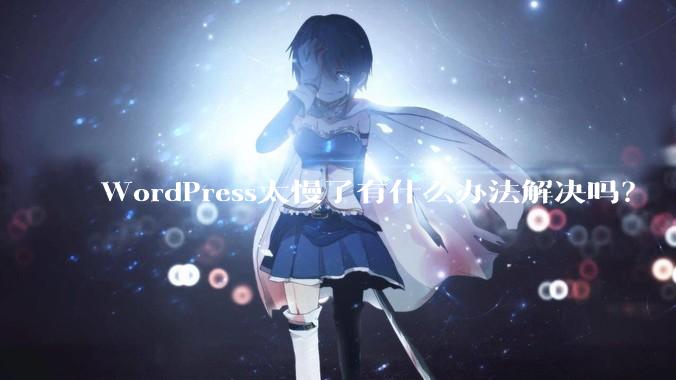 WordPress太慢了有什么办法解决吗？