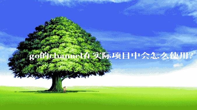 go的channel在实际项目中会怎么使用？